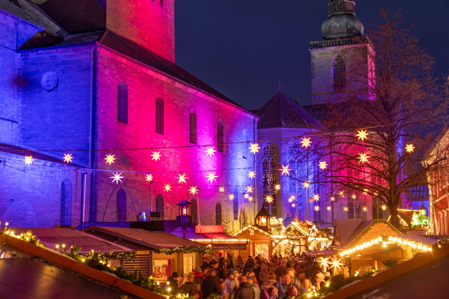 Reisen LippeBus Reisen Reisen LippeBus Reisen