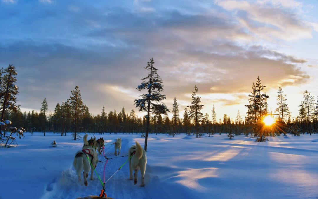 Finnland hautnah erleben – Ein Wintermärchen zwischen Ostsee, Husky-Abenteuer und arktischer Eiswelt – März 2027